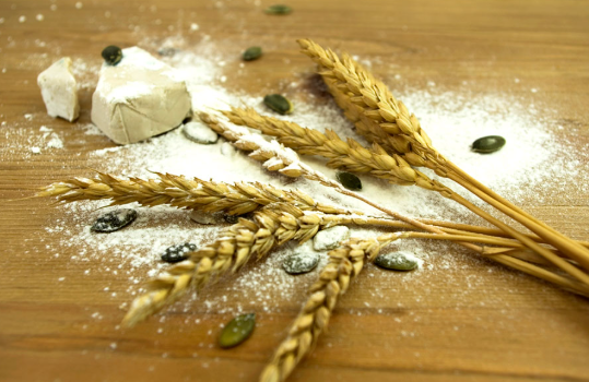 Differenze tra sensibilità al lievito, allergia al grano e celiachia spiegato dalla Dott.ssa Giorgia Altomonte